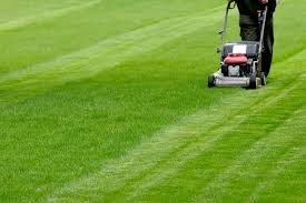 Corso per Giardiniere Corsi di Formazione