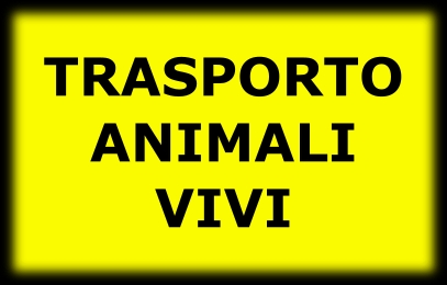 Trasporto Animali Vivi 