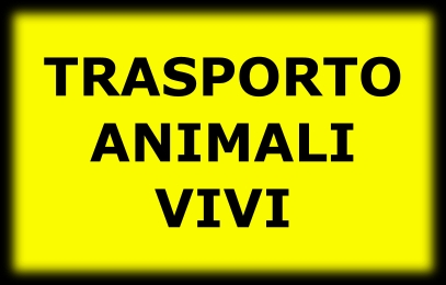 Trasporto Animali Vivi Corsi di Formazione