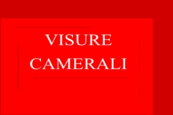 Visure Camerali Pratiche Aziendali